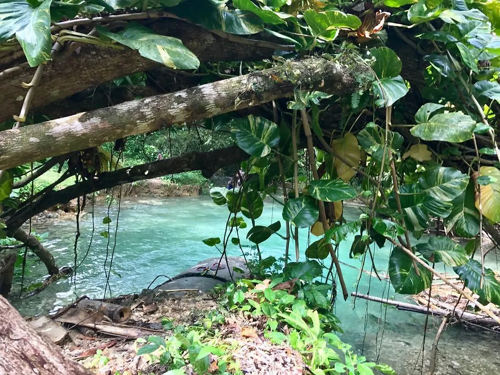 Lodge Nature In Portland Port Antonio Jamaica
