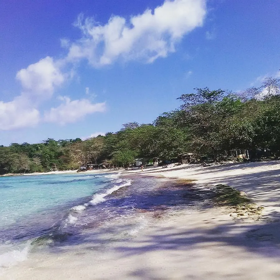 Lodge Nature In Portland Port Antonio